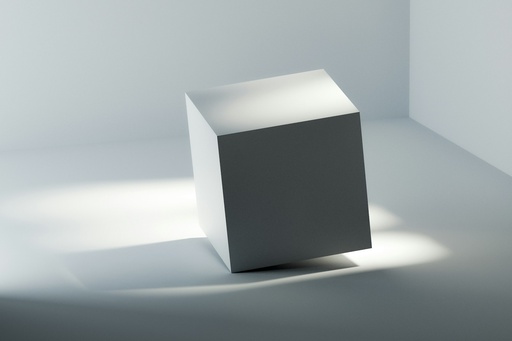 Prime Workshop in 3D Modeling