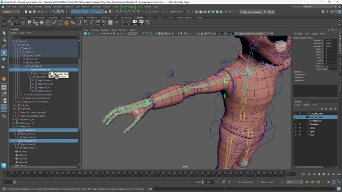 Advance Arm Rig for MMA